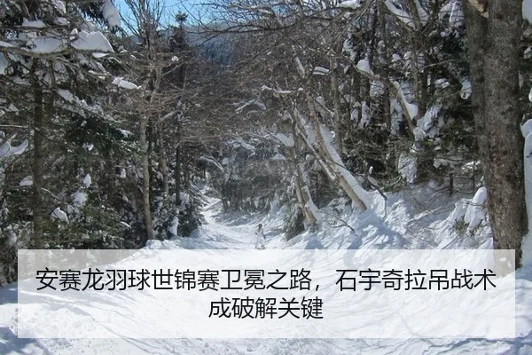 安赛龙羽球世锦赛卫冕之路，石宇奇拉吊战术成破解关键